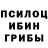 Галлюциногенные грибы Psilocybe Timchuk,No sound