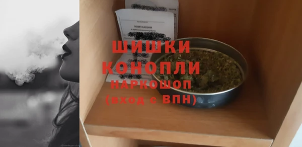 соль ск Богородск