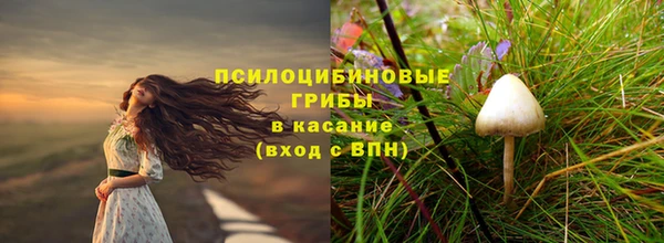 соль ск Богородск
