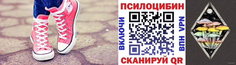Псилоцибиновые грибы Cubensis  Ростов-на-Дону 